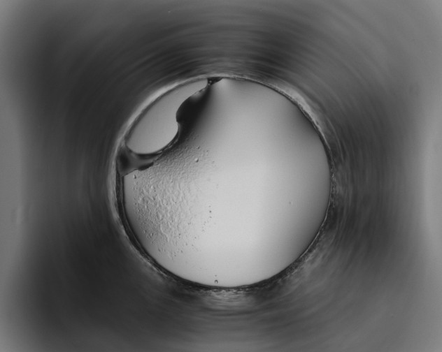 X0000094081147200711161602