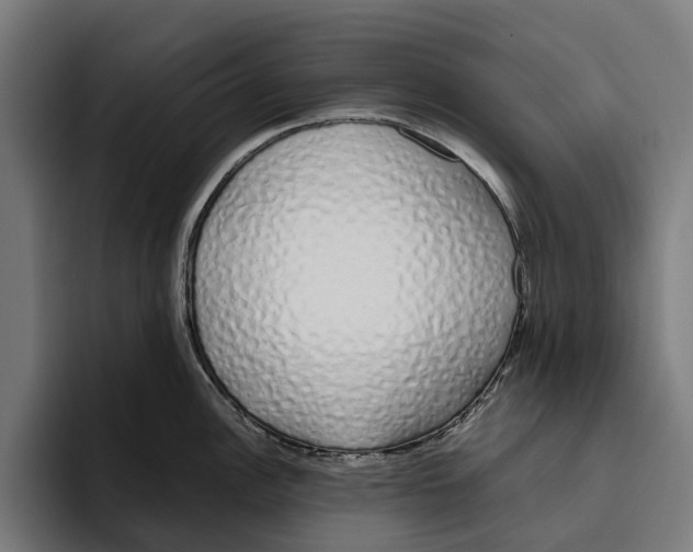 X0000094081148200711161602