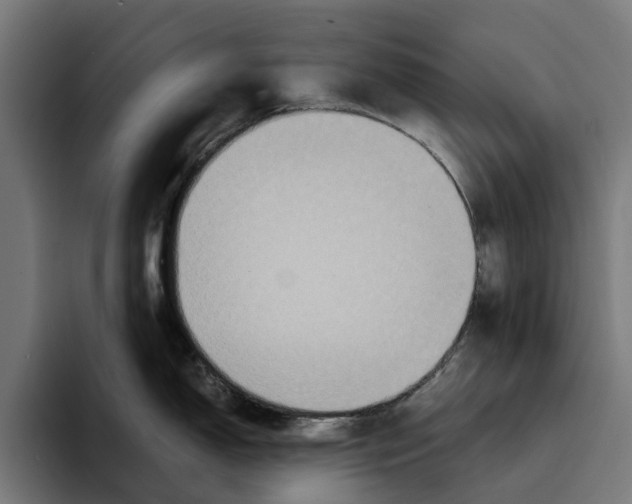 X0000094081150200711161602