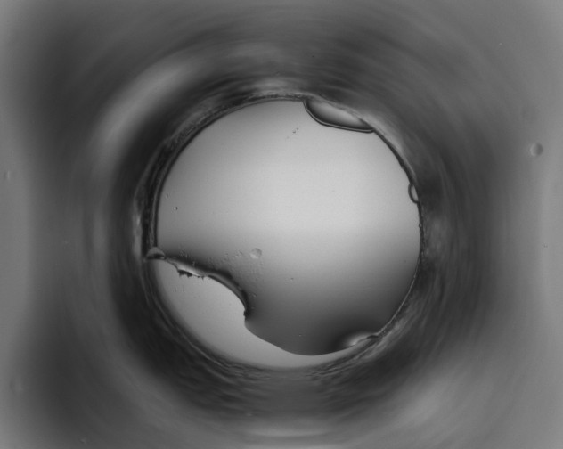X0000094081151200711161602