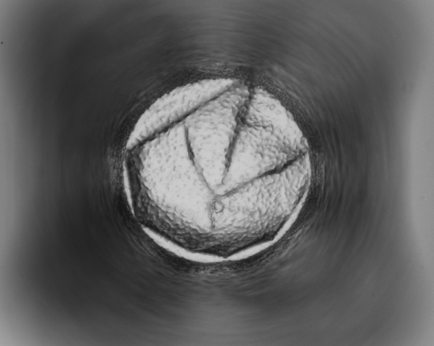 X0000094081154200711161601