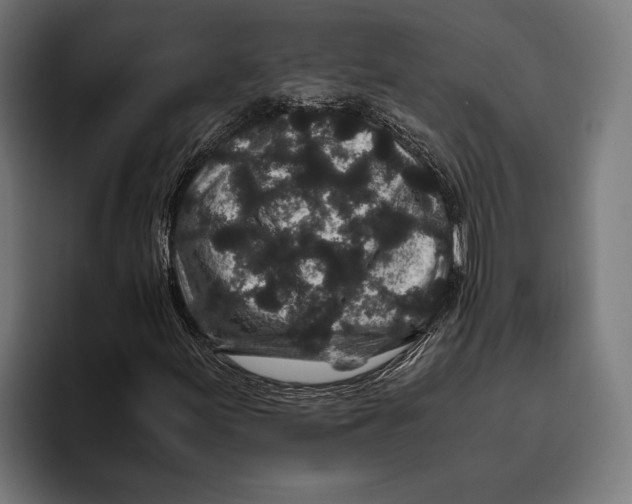 X0000094081155200711161601