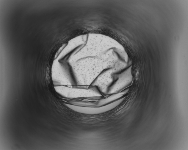 X0000094081156200711161601