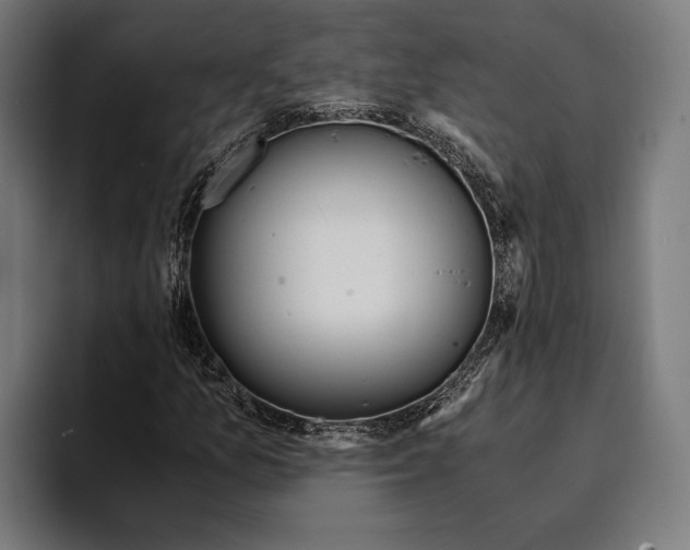 X0000094081157200711161601