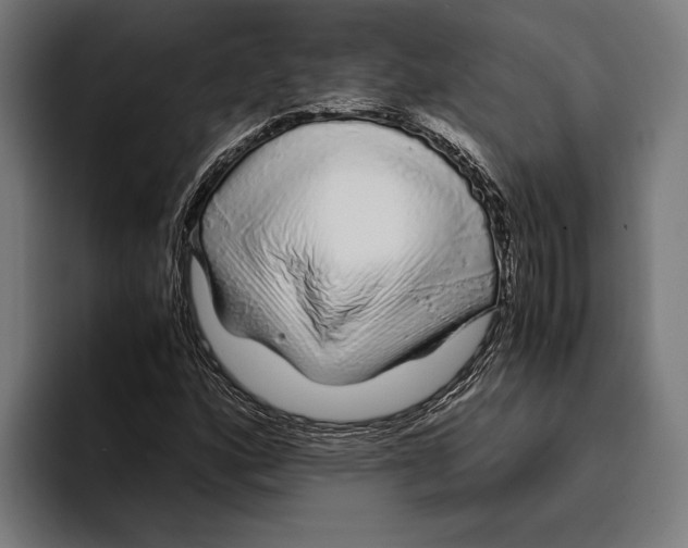 X0000094081160200711161601