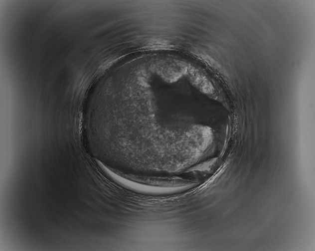 X0000094081161200711161601