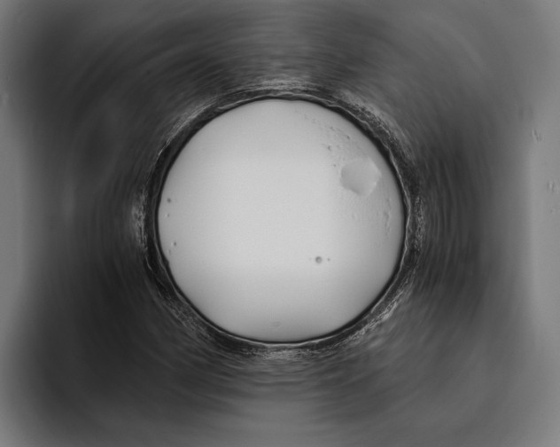 X0000094081162200711161601
