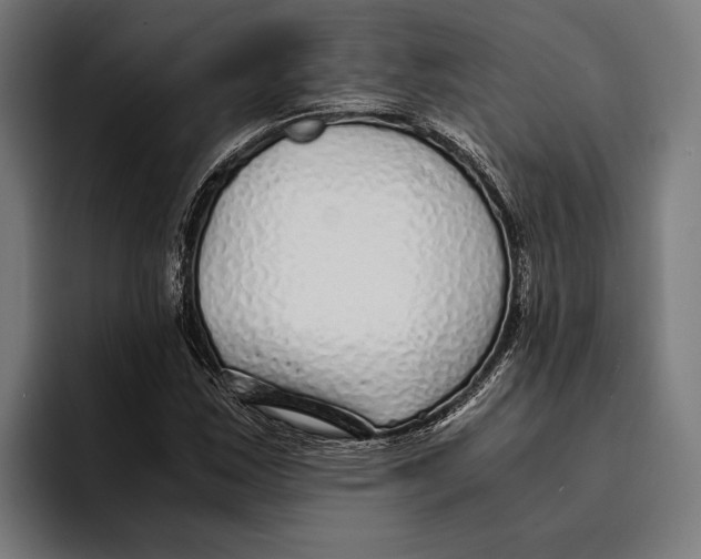 X0000094081163200711161601