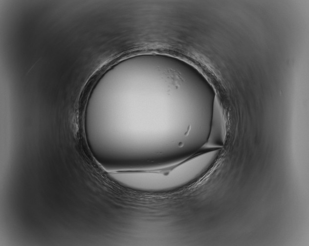 X0000094081165200711161601