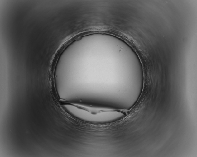 X0000094081168200711161601