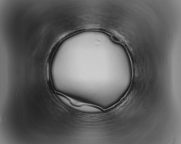X0000094081171200711161601