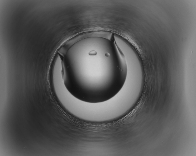 X0000094081173200711161601