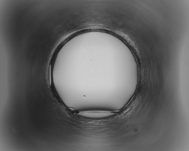 X0000094081175200711161601
