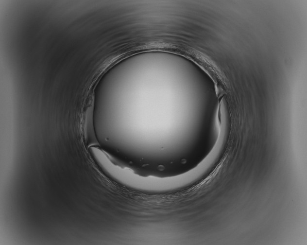 X0000094081177200711161601