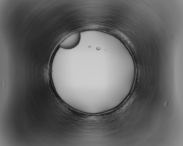 X0000094081178200711161601