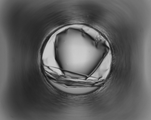 X0000094081179200711161601