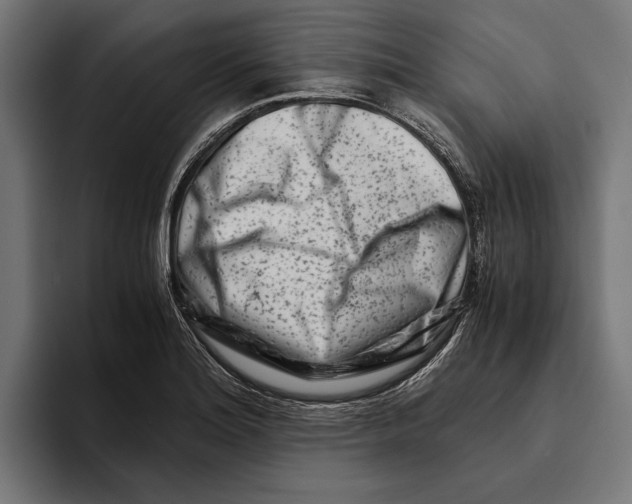 X0000094081180200711161601