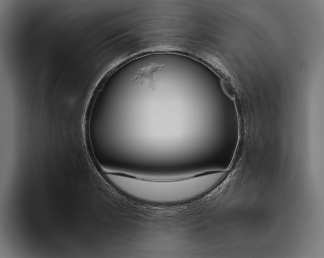 X0000094081181200711161601