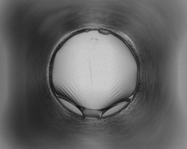X0000094081183200711161601