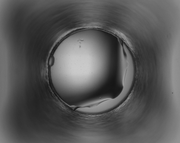 X0000094081184200711161601