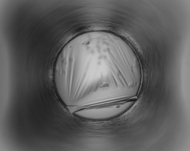 X0000094081185200711161601