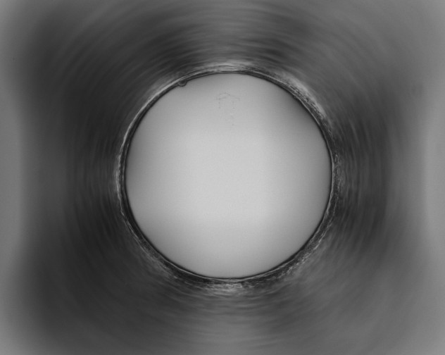 X0000094081186200711161601