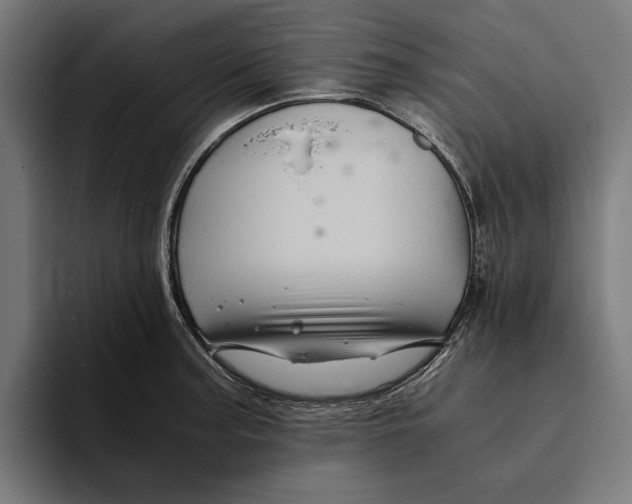 X0000094081187200711161601