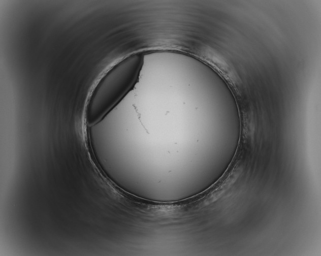X0000094081188200711161601