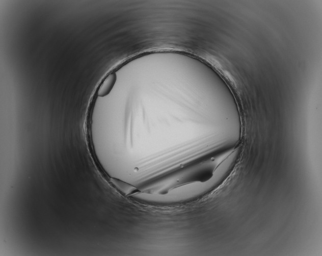 X0000094081189200711161601