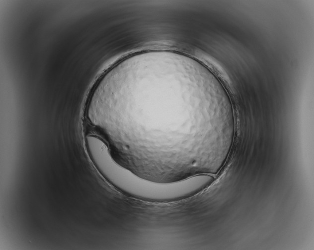 X0000094081192200711161601