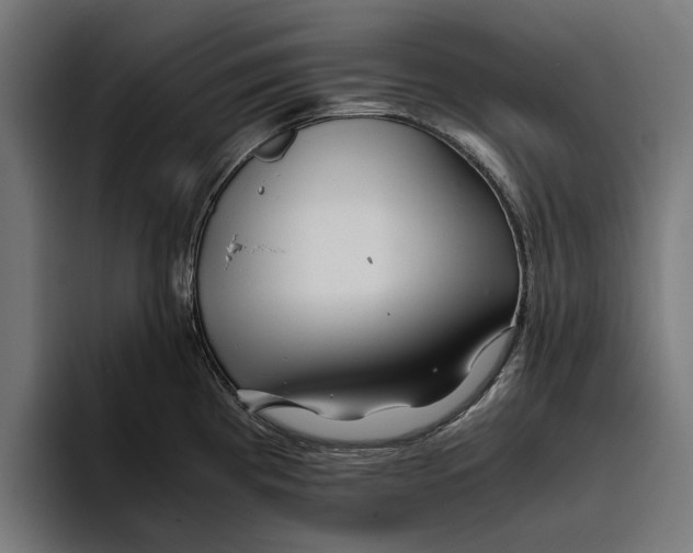 X0000094081193200711161601