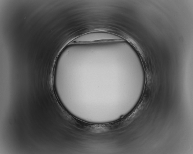 X0000094081194200711161601