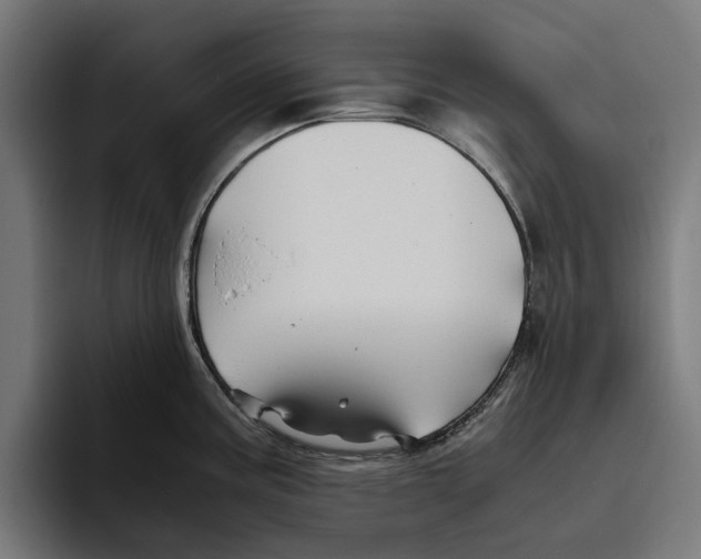 X0000094081195200711161601