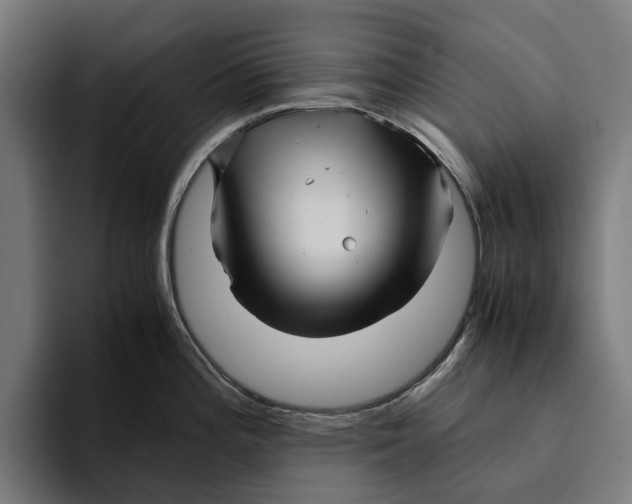 X0000094081196200711161601