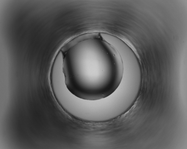 X0000094081197200711161601