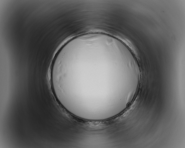 X0000094081198200711161601