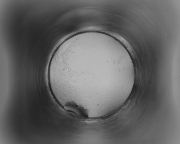X0000094081199200711161601