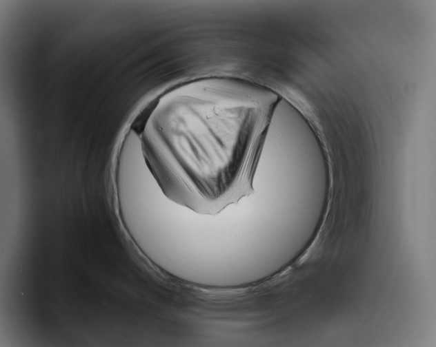 X0000094081200200711161601