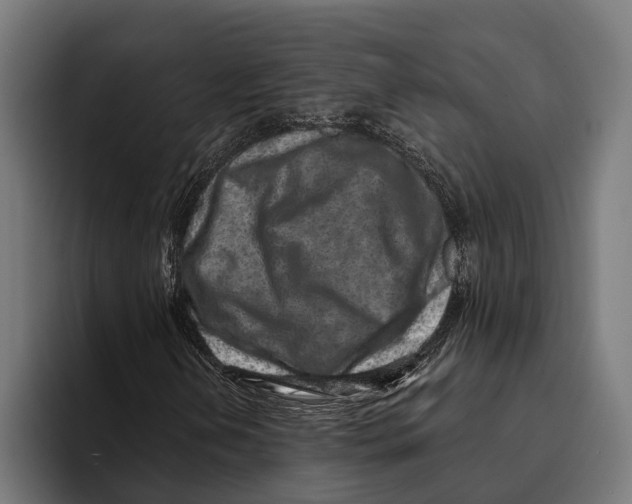 X0000094081202200711161600
