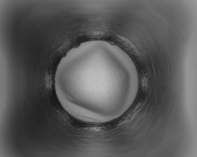 X0000094081204200711161600