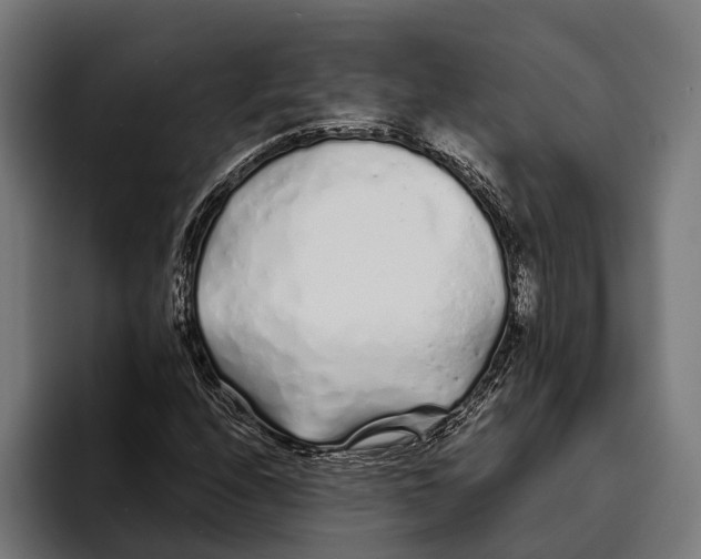 X0000094081208200711161600