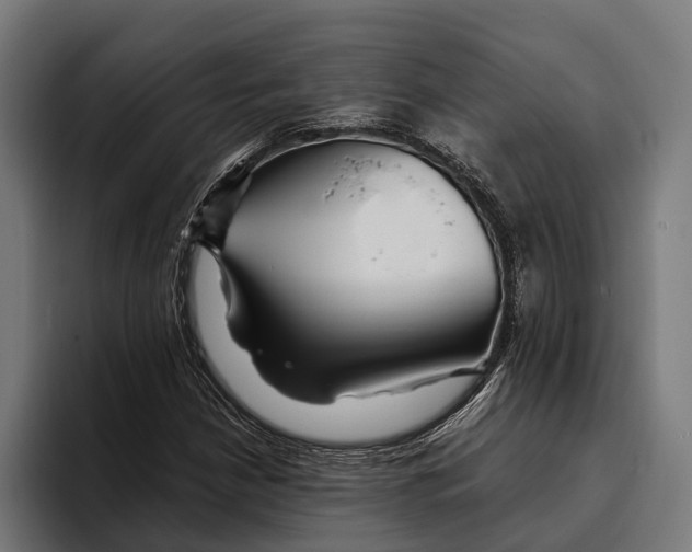 X0000094081210200711161600