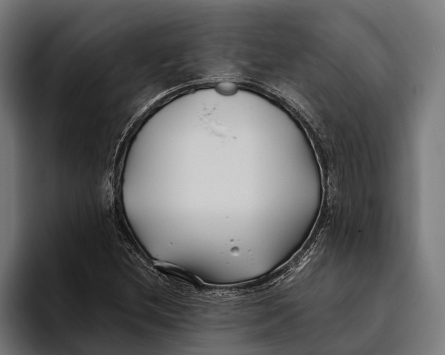 X0000094081212200711161600