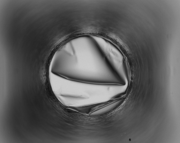 X0000094081213200711161600