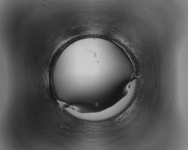 X0000094081214200711161600