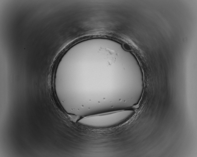 X0000094081216200711161600