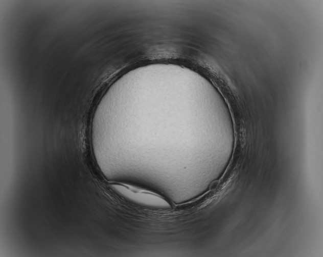 X0000094081217200711161600