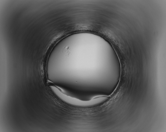 X0000094081218200711161600