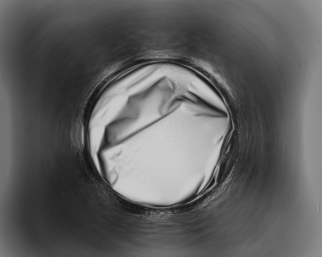 X0000094081221200711161600