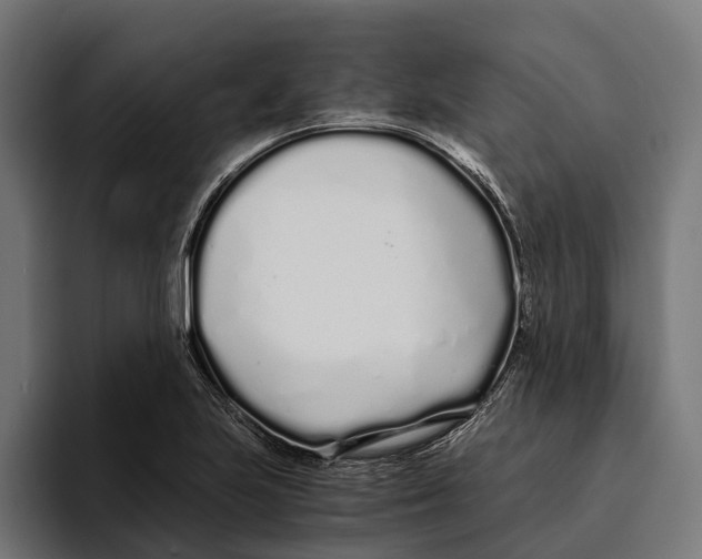 X0000094081223200711161600